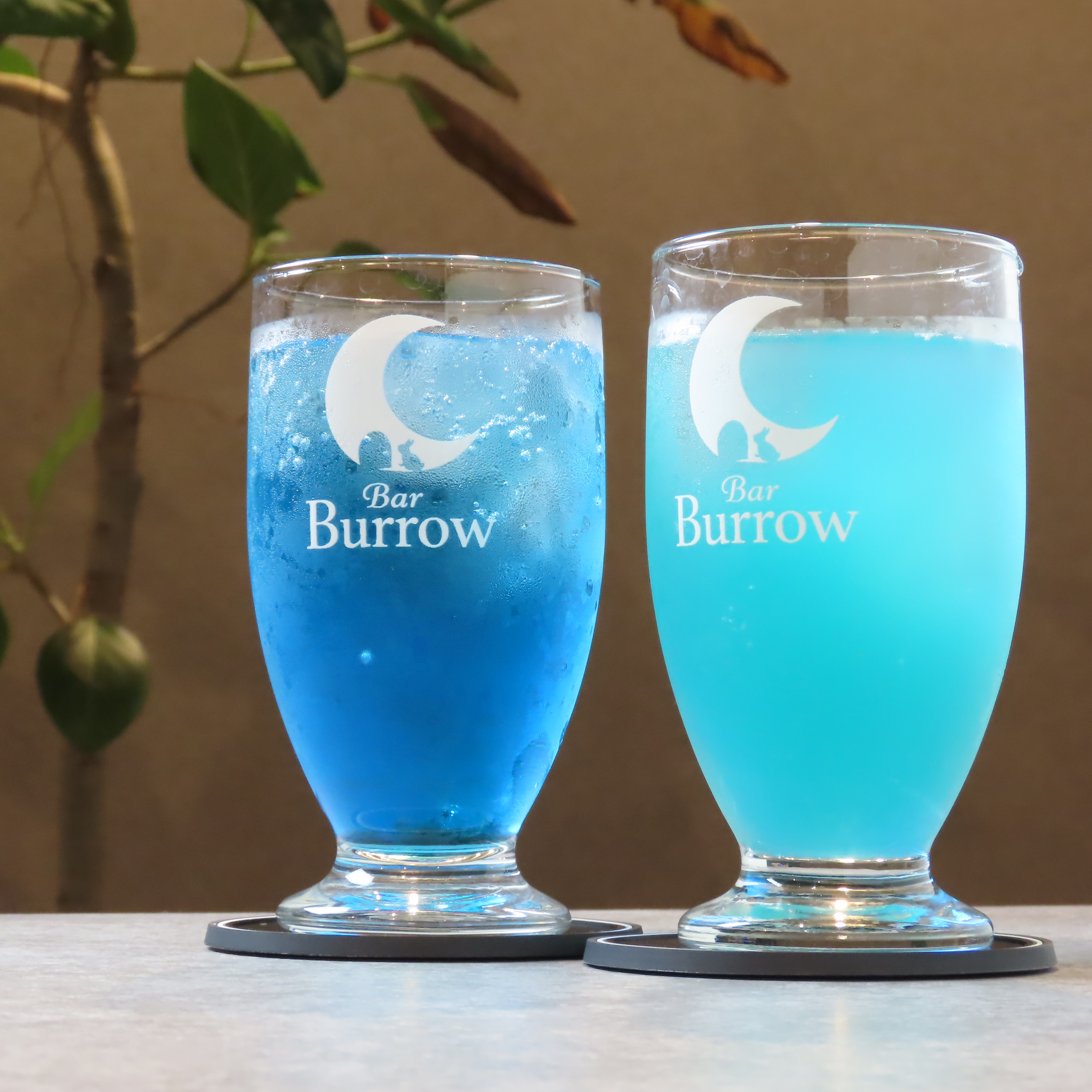 次の人狼ナイトはBar Burrowで。まずは気軽にご相談を